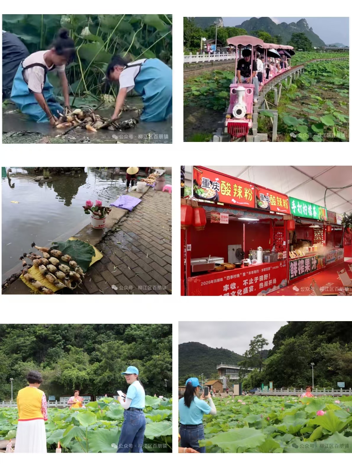 微信图片_20260714173051_29_48.jpg