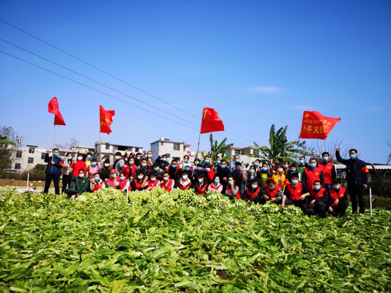 龙城防疫渡风雨,爱在进德春菜花