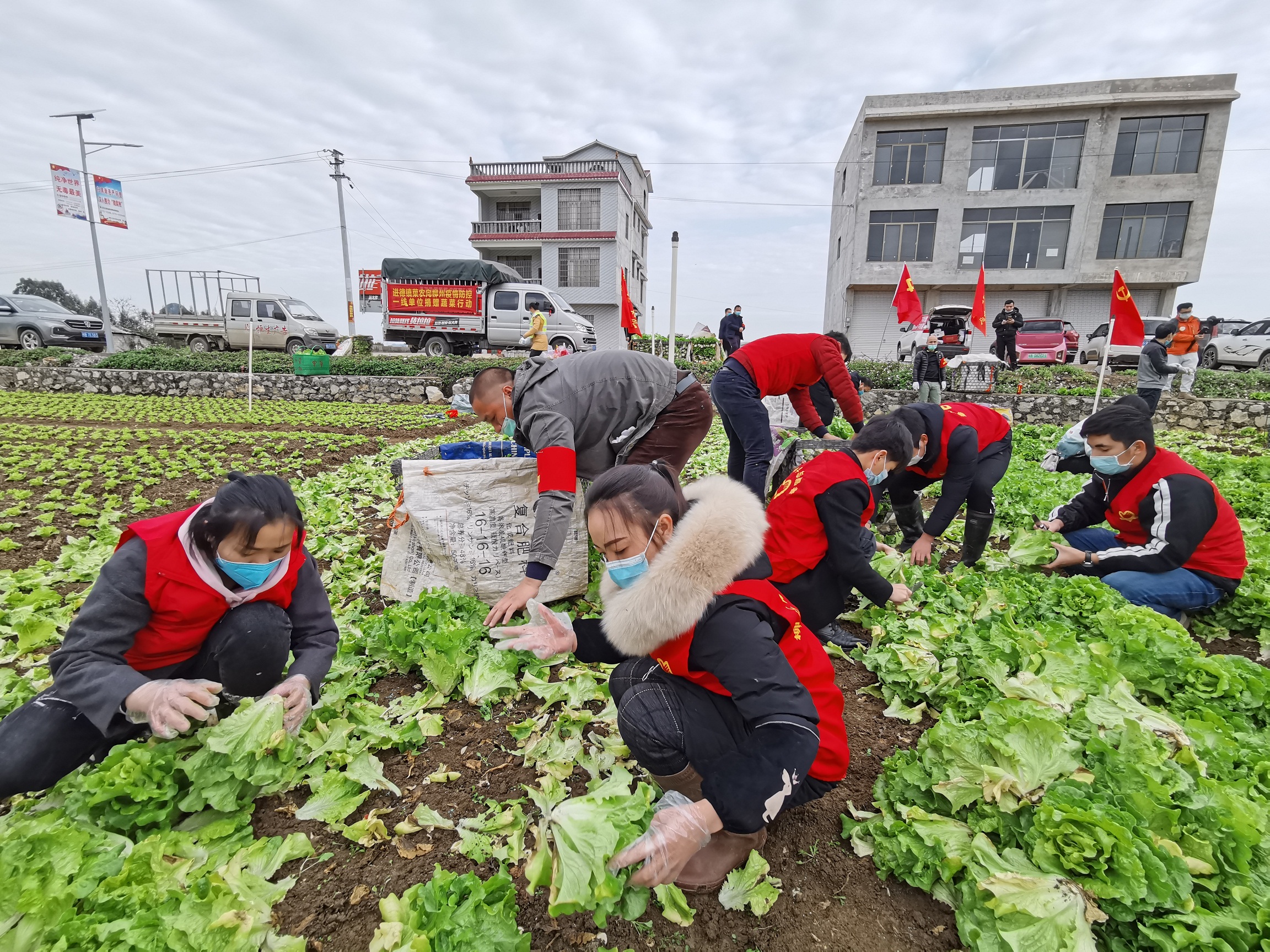 随处可见党员突击队员们忙碌的身影 (1)