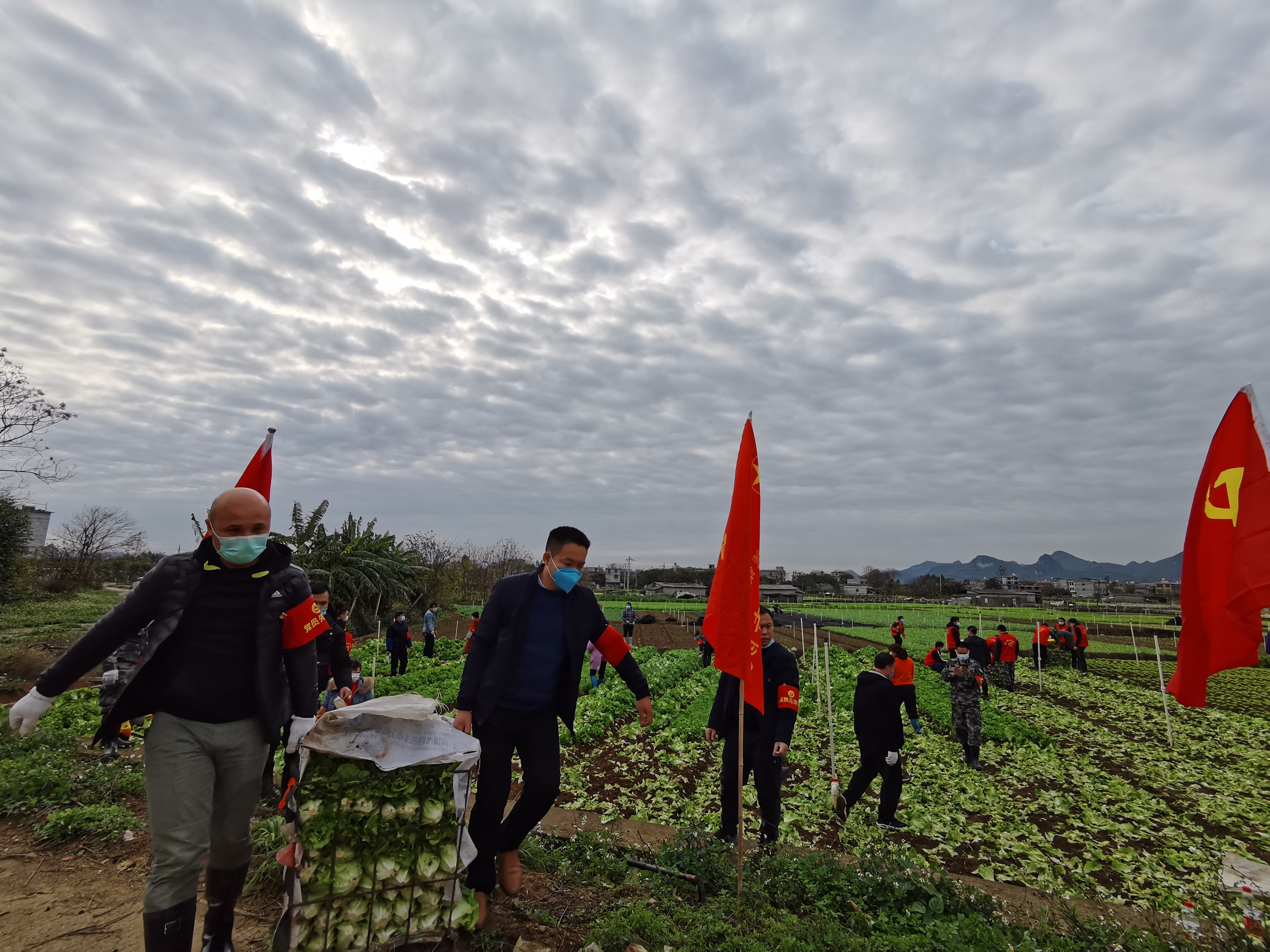 随处可见党员突击队员们忙碌的身影 (2)